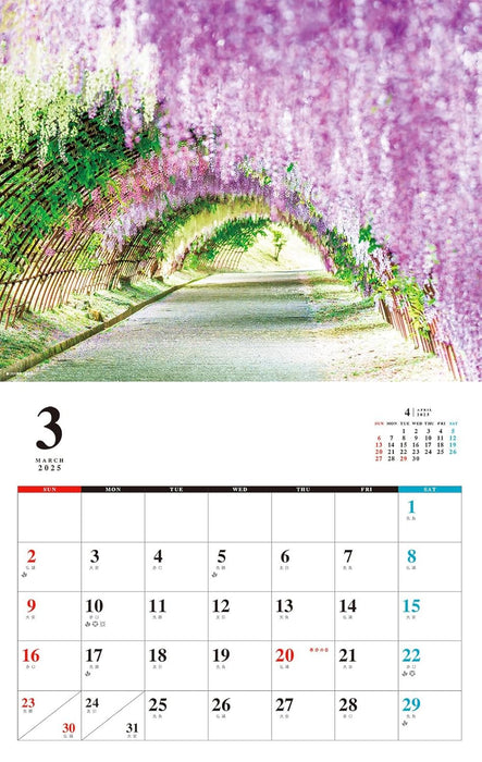 Relaxing Flowers Place Calendar 2025 (Monthly/Wall Calendar)