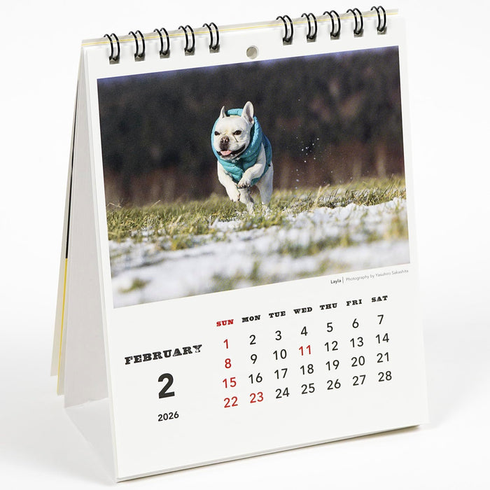 Greeting Life 2026 Desk Calendar NATSUHIKO FAMILY C-1690-NA