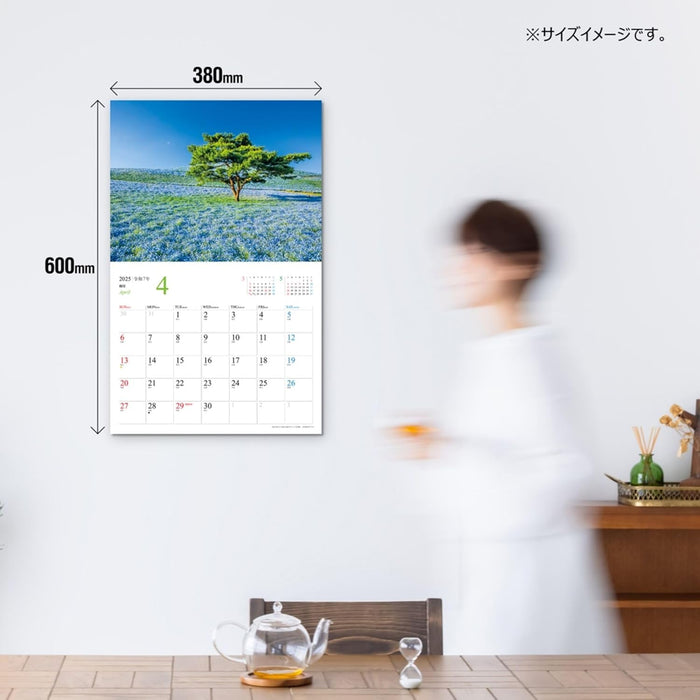 JTB Calendar Amazing Views in Japan 2025 Wall Calendar