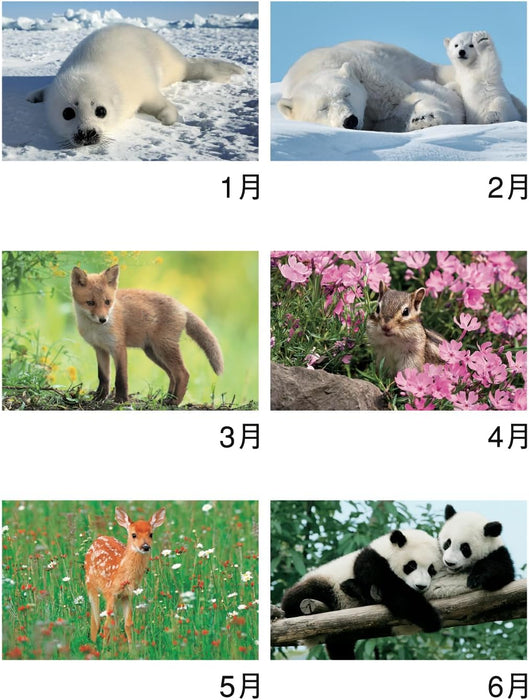 New Japan Calendar 2025 Wall Calendar Animals NK104