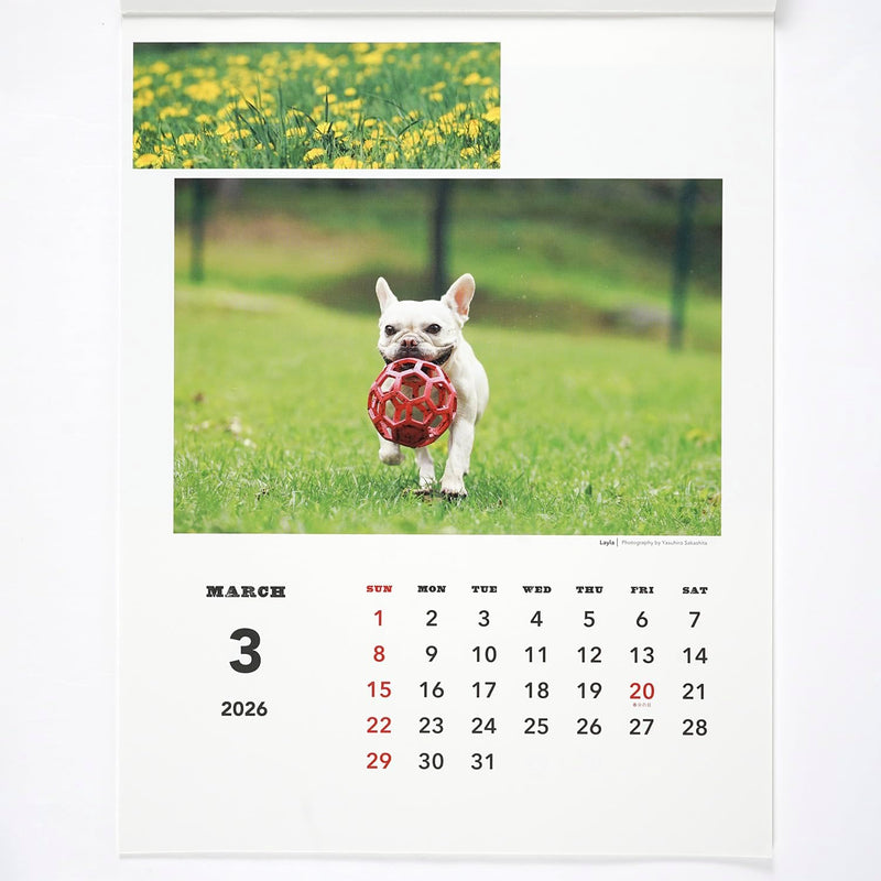 Greeting Life 2026 Wall Calendar NATSUHIKO FAMILY C-1741-NA
