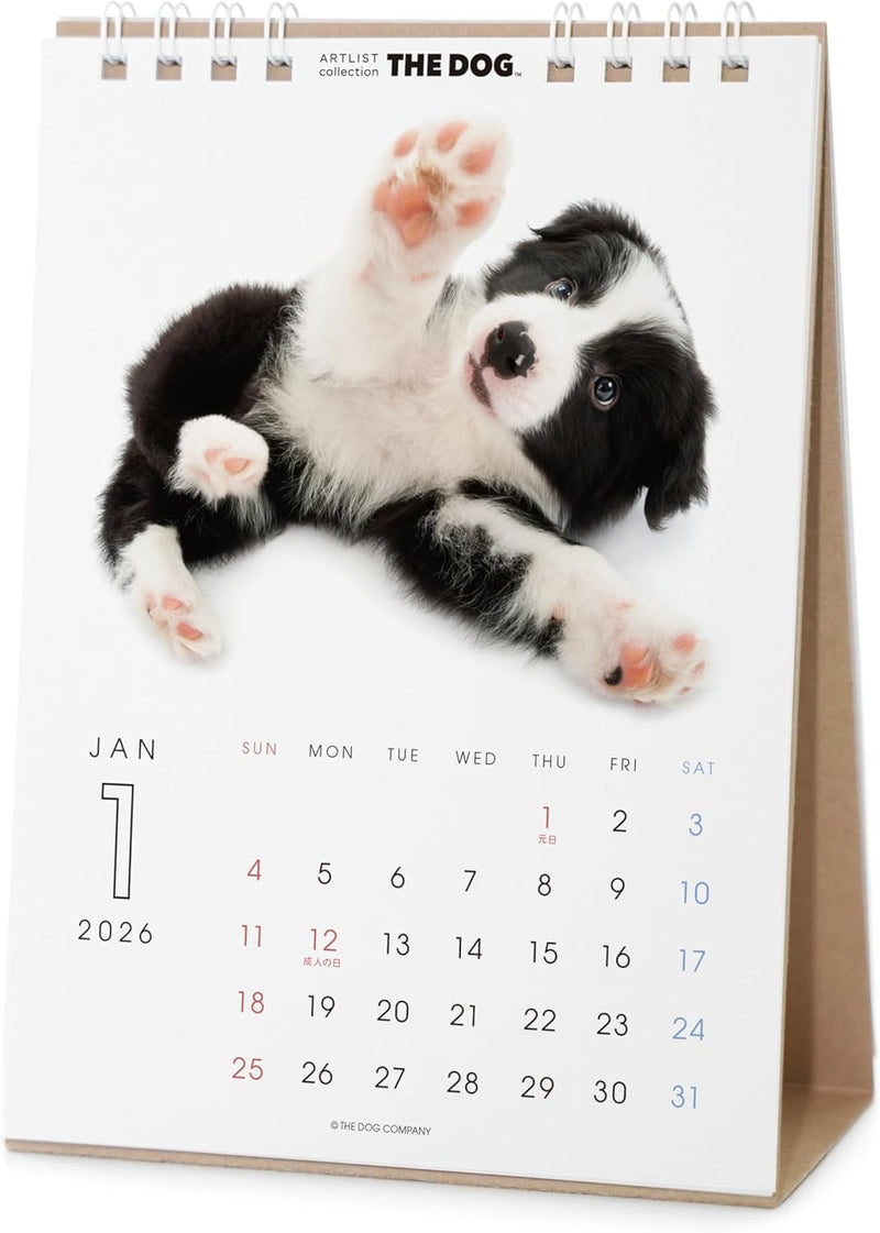THE DOG 2026 Desk Calendar [Border Collie]