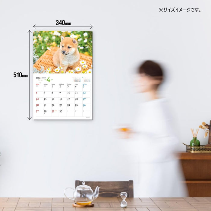 JTB Calendar Wanko 2025 Wall Calendar