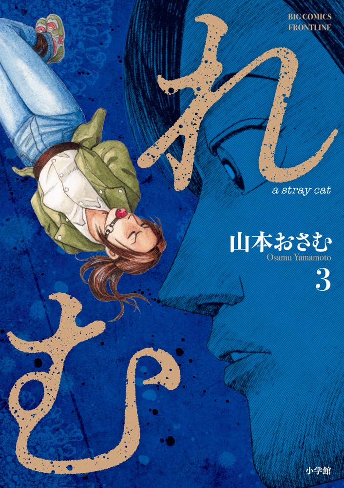 Remu: a stray cat 3