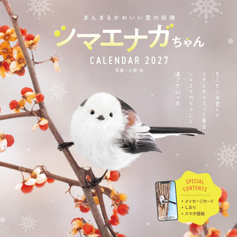 Takahashi 2027 Wall Calendar 2-Month View Double A4 Size E60