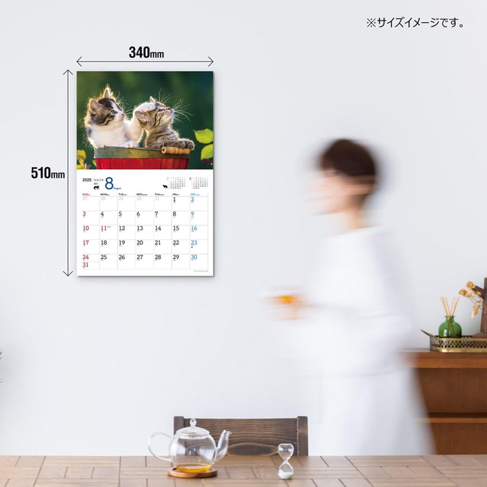 JTB Calendar Nyanko 2025 Wall Calenda