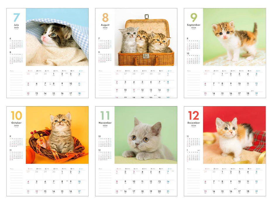 Plenty of Writing Space Calendar 2026: Together with Kittens Calendar + Memo (Impress Calendar 2026)