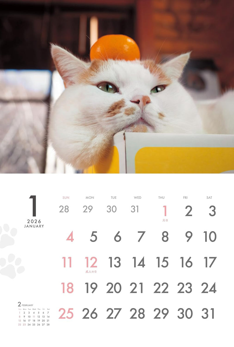 2026 MARCO's CAT CALENDAR Comical! (Yama-kei Calendar 2026)