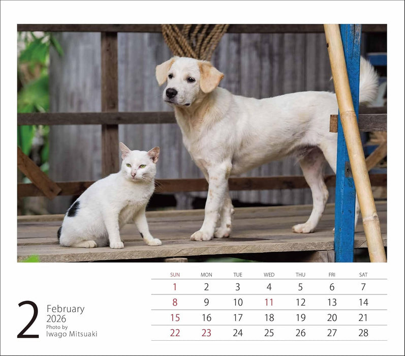 2026 Mini Calendar Mitsuaki Iwago Friends