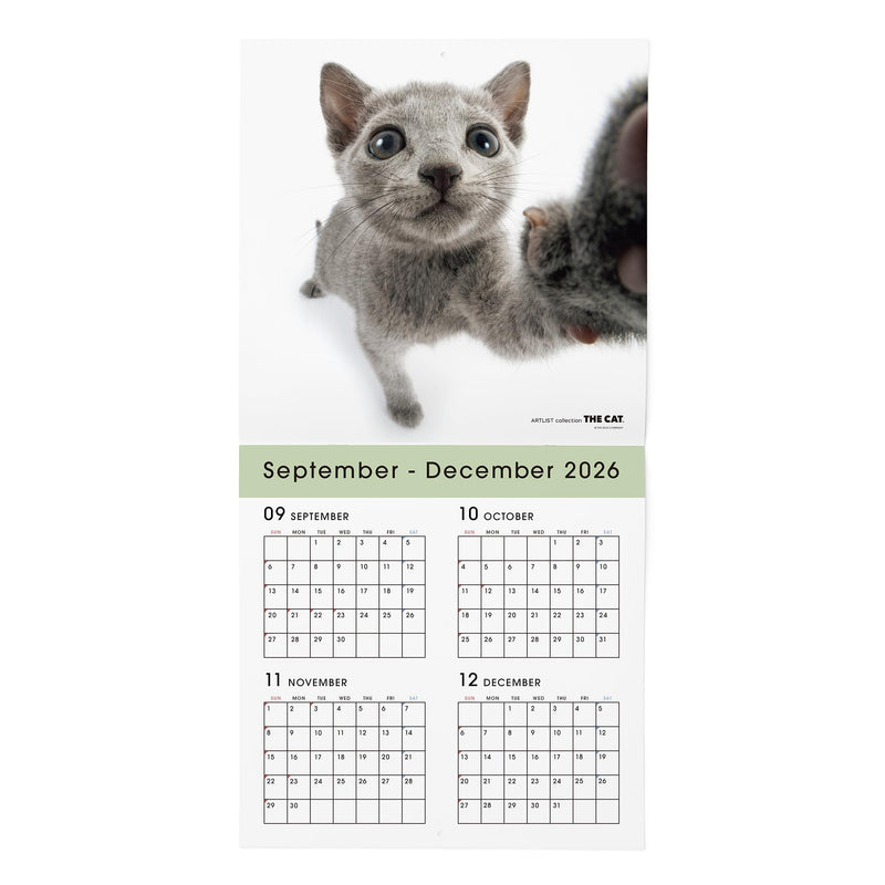 THE CAT 2027 Wall Calendar Large Size [Russian Blue]