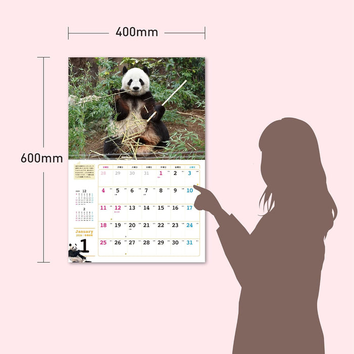 Hello Xiaoxiao Lei Lei 2026 Calendar