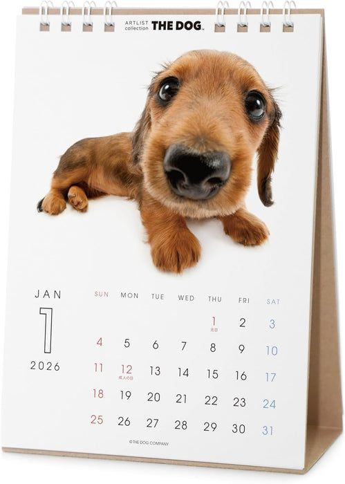 THE DOG 2026 Desk Calendar [Dachshund]