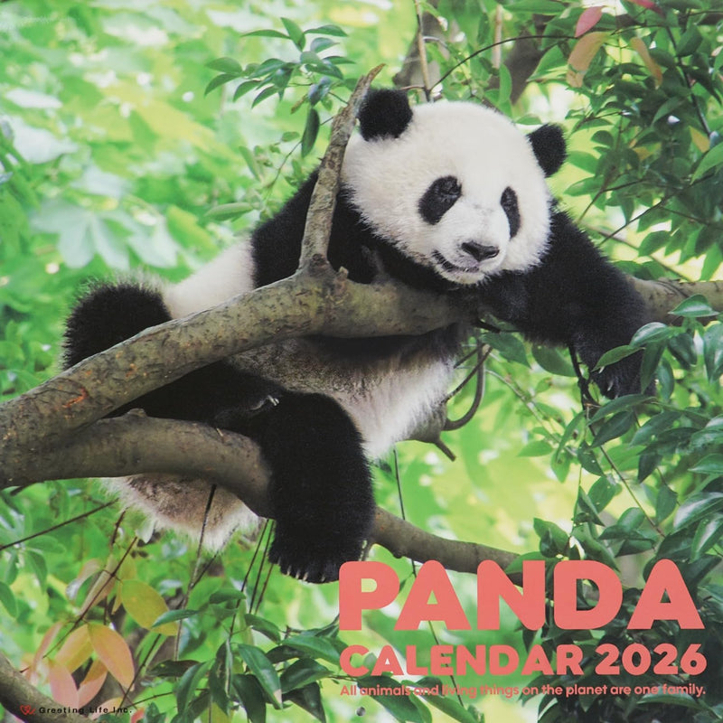 Greeting Life 2026 Wall Calendar Panda C-1668-PA