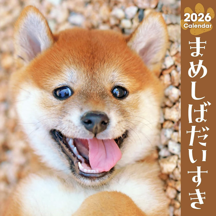 Mameshiba Daisuki Calendar 2026