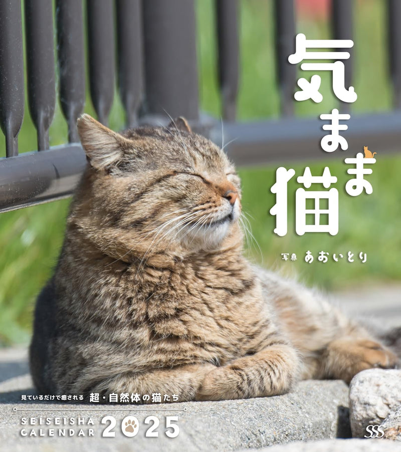 Carefree Cat Calendar 2025