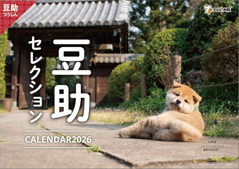 Hagoromo Mamesuke Selection 2026 Wall Calendar CL26-0396