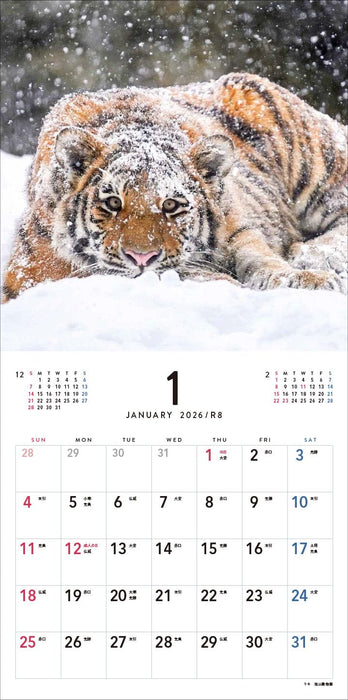 Almost Cats Calendar 2026