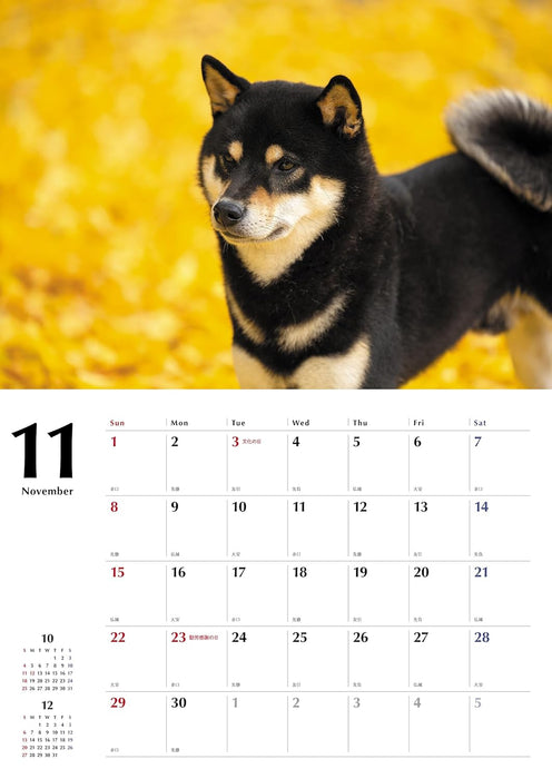 Black Shiba Inu Calendar 2026 (Wall Calendar)