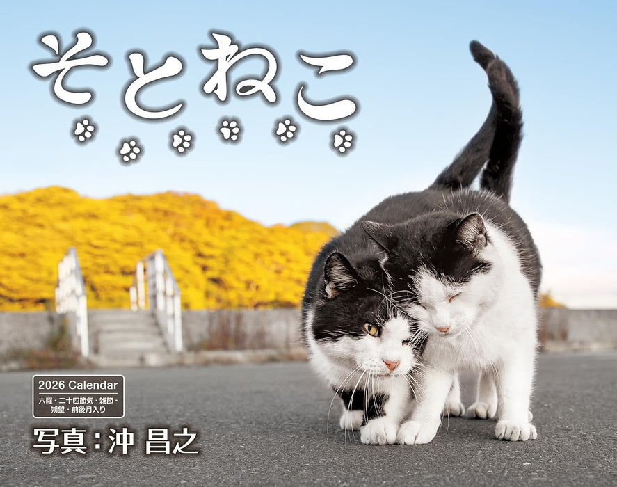 Calendar 2026 Soto Neko (Monthly/Wall Calendar) (Impress Calendar 2026)