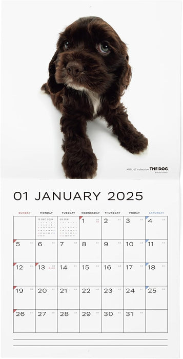 THE DOG 2025 Wall Calendar Large Size [American Cocker Spaniel]