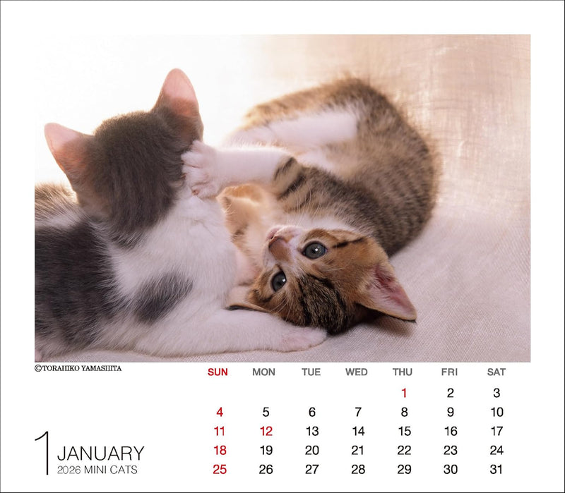 2026 Mini Calendar Cats
