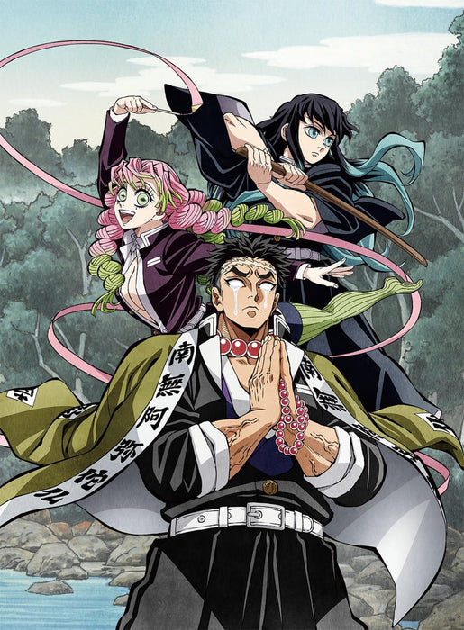 Demon Slayer: Kimetsu no Yaiba - Season 4 3 (Complete Production Limited Edition) [DVD]