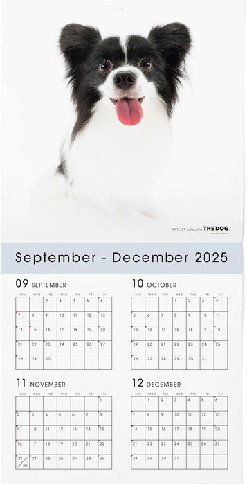 THE DOG 2026 Wall Calendar Large Size [Papillon]