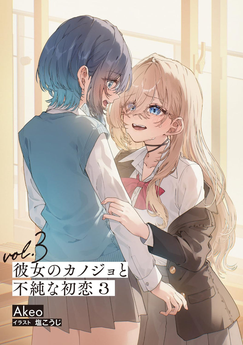 Kanojo no Kanojo to Fujun na Hatsukoi 3 (Light Novel)