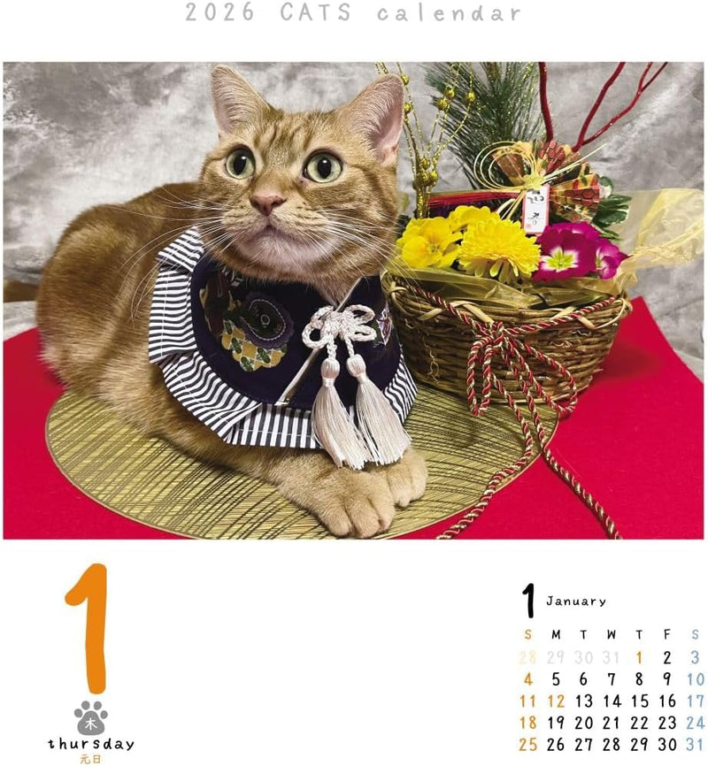 CO2 Cats 2026 Page-A-Day Calendar CK-C26-01