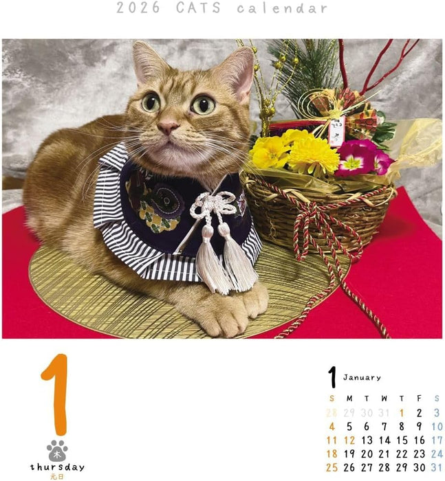 CO2 Cats 2026 Page-A-Day Calendar CK-C26-01