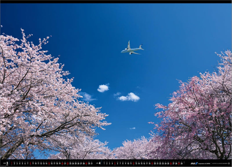ANA 'Super Flight' (Extra Large) 2026 Wall Calendar CL26-1152