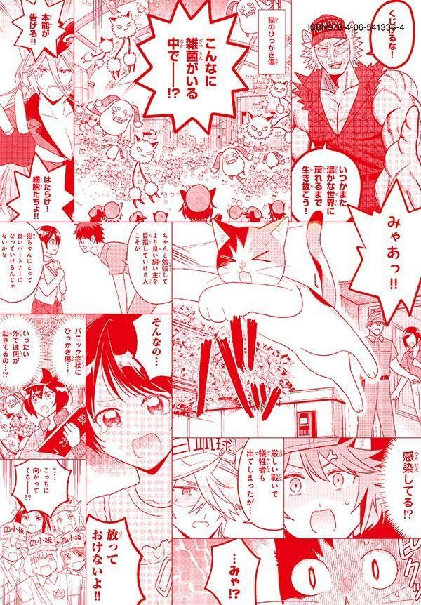 Cells at Work! (Hataraku Saibou) Neko 5