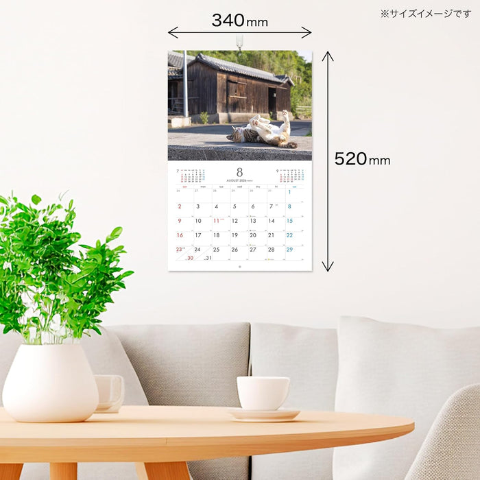 Masayuki Oki Playful and Free-Spirited Island Cat Calendar 2026 (Monthly/Wall Calendar)