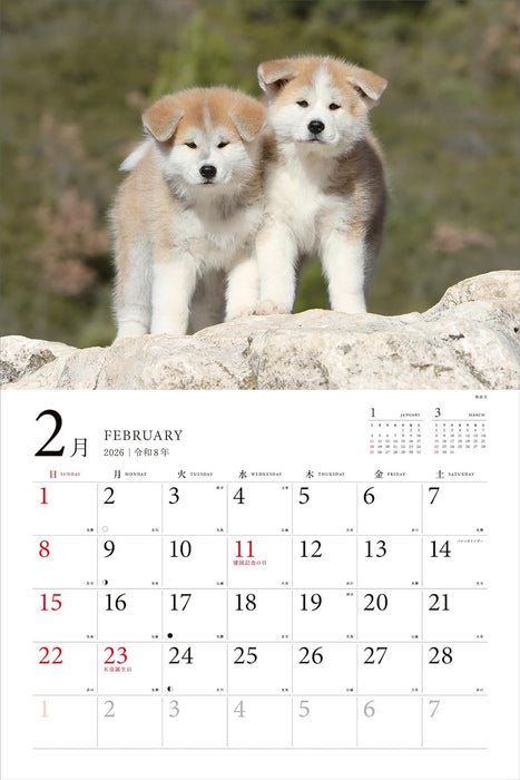 Adorable Dogs of Japan Calendar 2026 (Montly/Wall Calendar/Large)