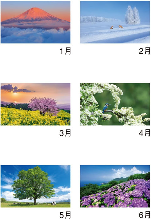 New Japan Calendar 2025 Wall Calendar Forever Japan NK142 610x425mm