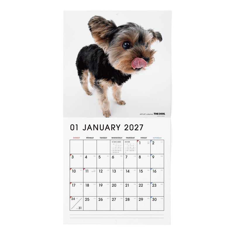 THE DOG 2027 Wall Calendar Large Size [Yorkshire Terrier]