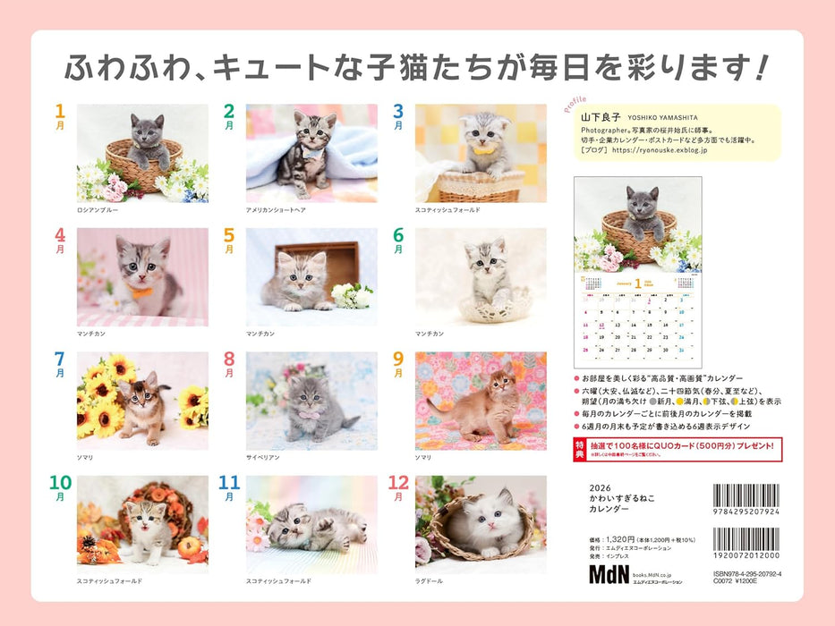 Too Cute Cat Calendar 2026