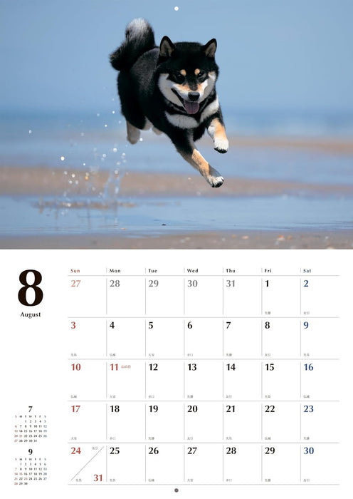 Black Shiba Inu Calendar 2025 (Wall Calendar)