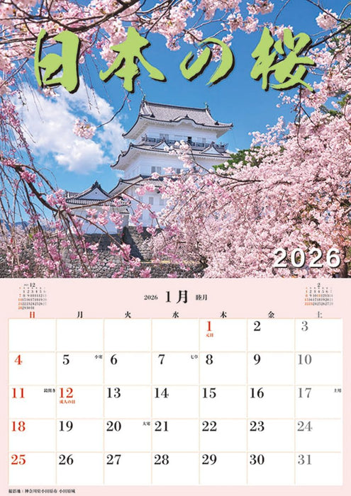 Try-X Jumbo 'Cherry Blossoms of Japan' Schedule 2026 Wall Calendar CL-471 B2