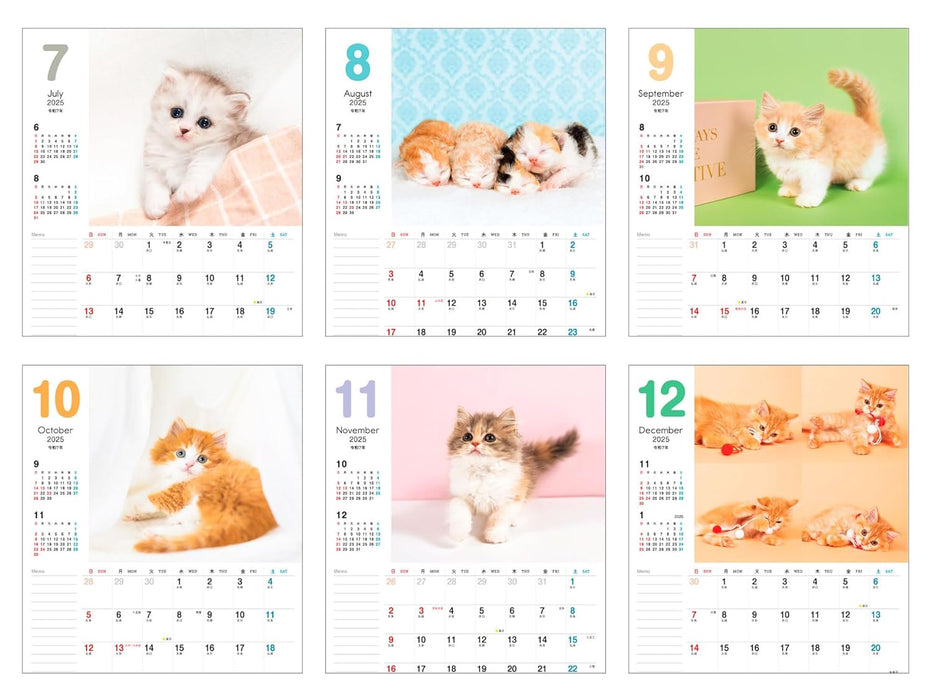 Plenty of Writing Space Calendar 2025: Together with Kittens Calendar + Memo (Impress Calendar 2025)