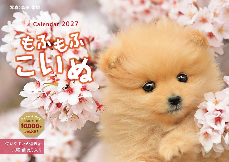 Takahashi 2027 Wall Calendar B5 E92