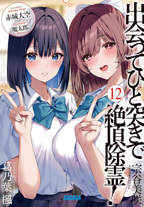 Deatte Hitotsuki de Zecchou Jorei! 12 (Light Novel)