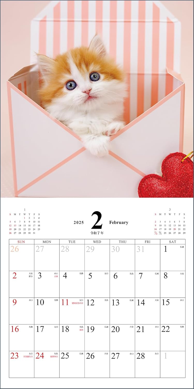 Koneko no Kimochi Calendar 2025 (Monthly/Wall Calendar)