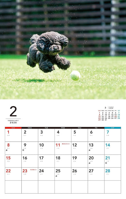 I LOVE Poodle Calendar 2026(Monthly/Wall Calendar)