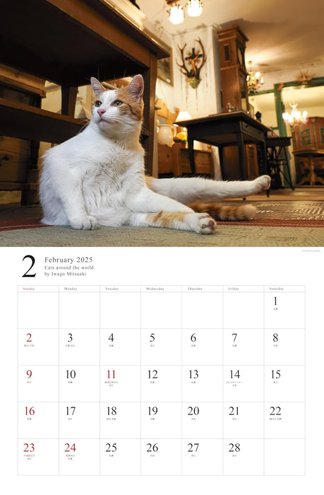 2025 Free Cats of the World Calendar