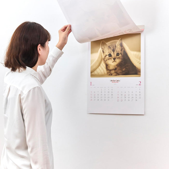 New Japan Calendar 2025 Wall Calendar Hello Cats NK27