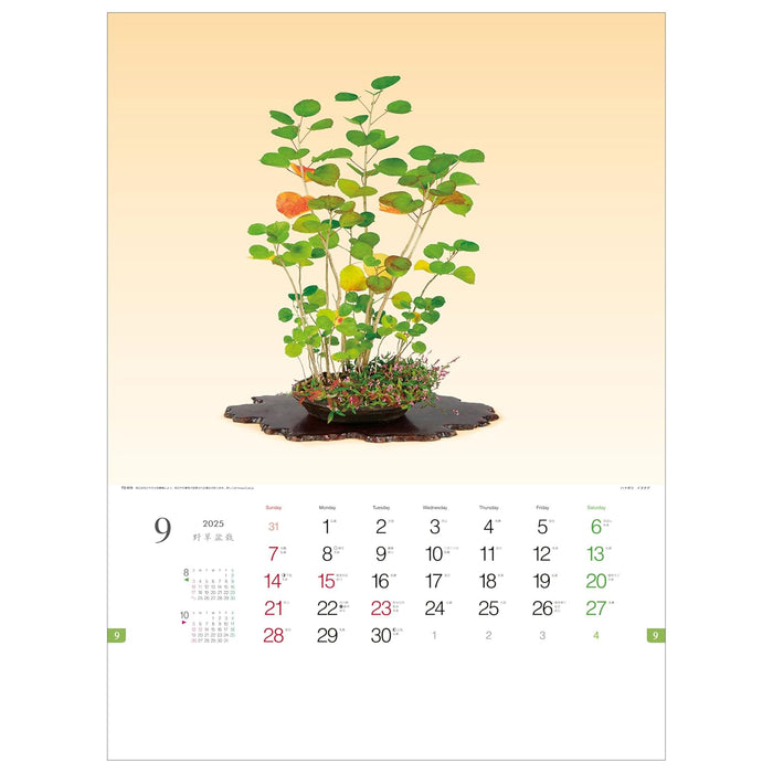 Todan 2025 Wall Calendar Wildflower Bonsai 53.5 x 38cm TD-819