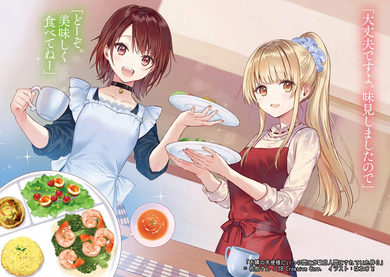 The Angel Next Door Spoils Me Rotten (Otonari no Tenshi-sama ni Itsunomanika Dame Ningen ni Sareteita Ken) 3 (Light Novel)
