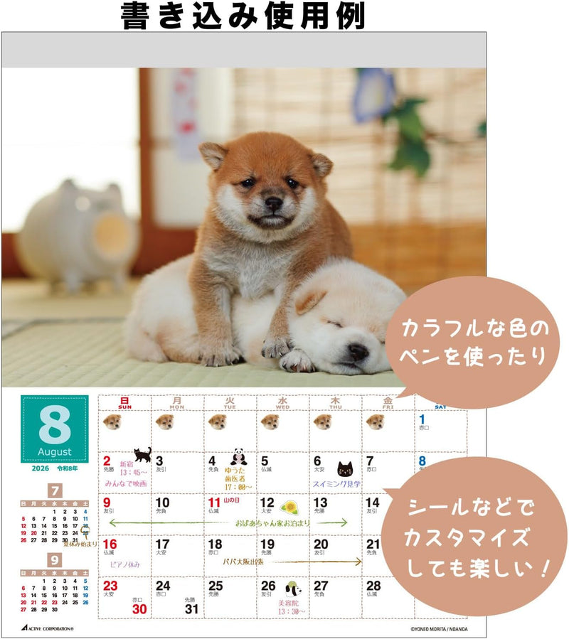 Active Corporation 2026 Wall Calendar Yoneo Morita Marugoto Shibainu 26ACL-11