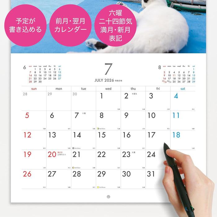 Masayuki Oki Playful and Free-Spirited Island Cat Calendar 2026 (Monthly/Wall Calendar)